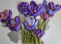 Крокусы № 1