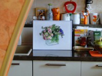 /album/fotogaljerjeja/dsc03110-jpg/