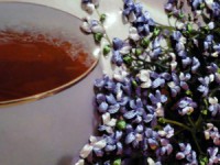 /album/fotogaljerjeja/dsc04019-jpg/