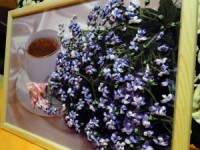 /album/fotogaljerjeja/dsc04022-jpg/